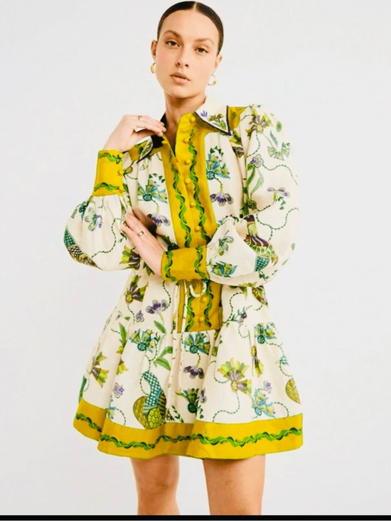 Dresses & Skirts - Bohemian Peacock Bird Print, Long Sleeve Mini Dress, Lapel Collar, XL